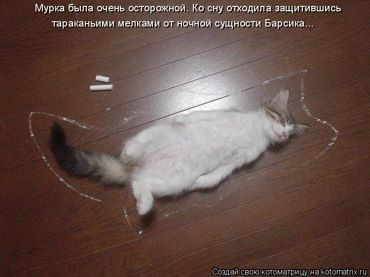 Мурка была очень осторожной. Ко сну отходила защитившись тараканьими мелками от ночной сущности Барс... Котоматрица: Мурка была очень осторожной. Ко сну отходила защитившись тараканьими мелками от ночной сущности Барсика...