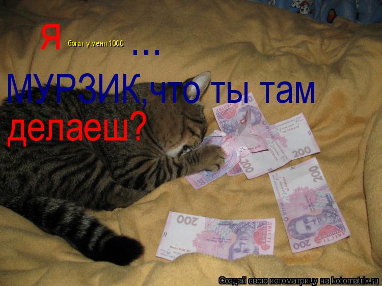 я богат у меня 1000 ... МУРЗИК,что ты там делаеш?... Котоматрица: я богат у меня 1000 ... МУРЗИК,что ты там делаеш?