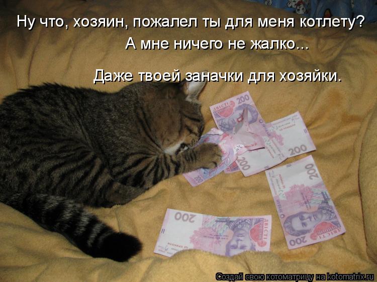 Ну что, хозяин, пожалел ты для меня котлету? А мне ничего не жалко... Даже твоей заначки для хозяйки.... Котоматрица: Ну что, хозяин, пожалел ты для меня котлету? А мне ничего не жалко... Даже твоей заначки для хозяйки.