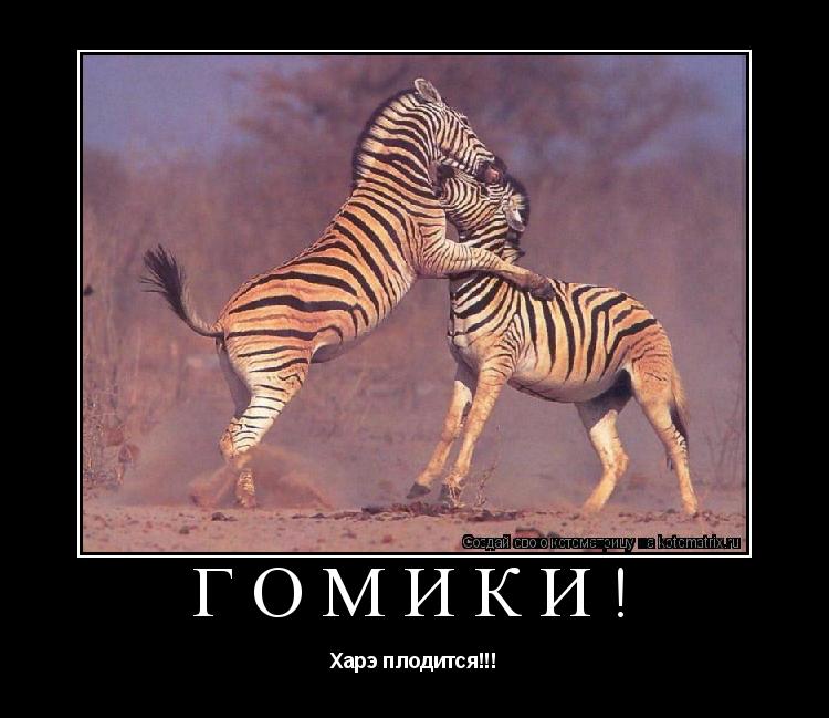 Котоматрица: Гомики! Харэ плодится!!!
