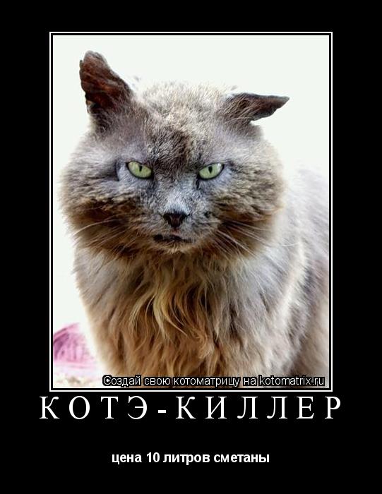 КотЭ-киллер цена 10 литров сметаны... Котоматрица: КотЭ-киллер цена 10 литров сметаны