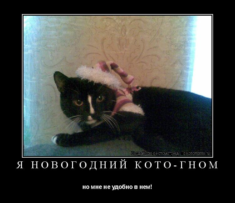 Я новогодний кото-гном но мне не удобно в нем!... Котоматрица: Я новогодний кото-гном но мне не удобно в нем!