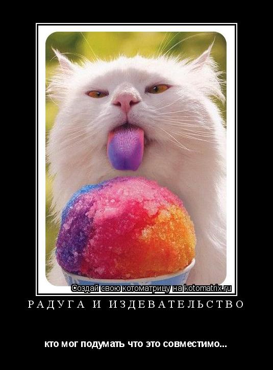 радуга и издевательство кто мог подумать что это совместимо...... Котоматрица: радуга и издевательство кто мог подумать что это совместимо...