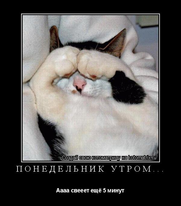 Понедельник утром... Аааа свееет ещё 5 минут... Котоматрица: Понедельник утром... Аааа свееет ещё 5 минут