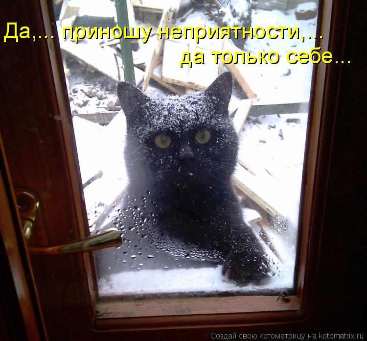 Да,... приношу неприятности,... да только себе...... Котоматрица: Да,... приношу неприятности,... да только себе...