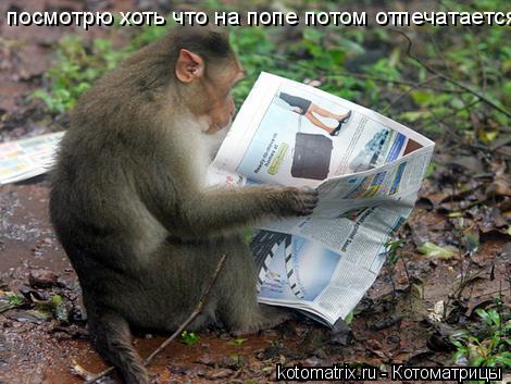посмотрю хоть что на попе потом отпечатается... Котоматрица: посмотрю хоть что на попе потом отпечатается