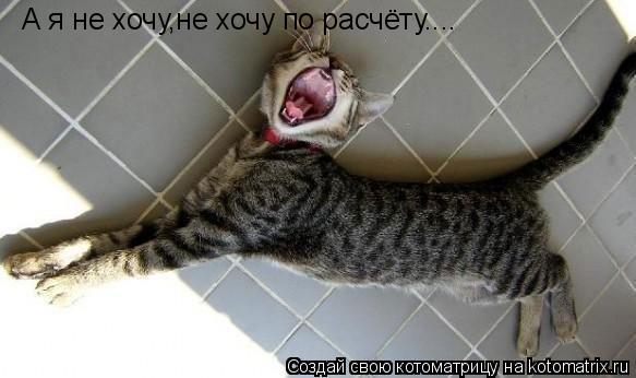 А я не хочу,не хочу по расчёту....... Котоматрица: А я не хочу,не хочу по расчёту....