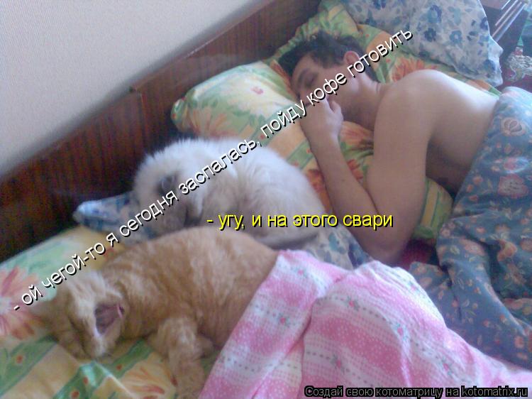 - ой чегой-то я сегодня заспалась, пойду кофе готовить - угу, и на этого свари... Котоматрица: - ой чегой-то я сегодня заспалась, пойду кофе готовить - угу, и на этого свари