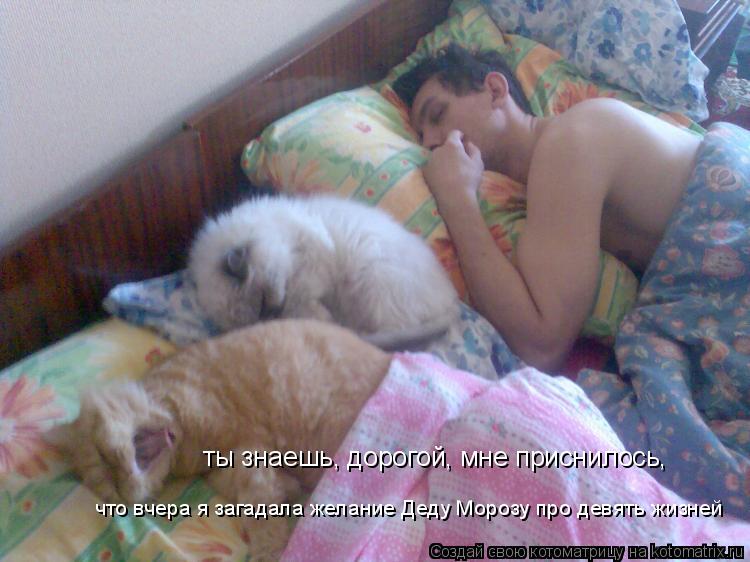 ты знаешь, дорогой, мне приснилось, что вчера я загадала желание Деду Морозу про девять жизней... Котоматрица: ты знаешь, дорогой, мне приснилось, что вчера я загадала желание Деду Морозу про девять жизней