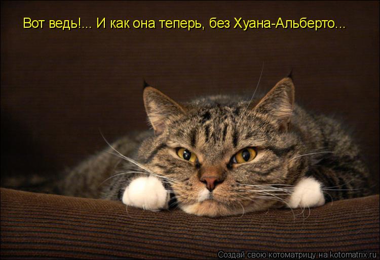 Вот ведь!... И как она теперь, без Хуана-Альберто...... Котоматрица: Вот ведь!... И как она теперь, без Хуана-Альберто...