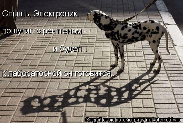 Слышь, Электроник, пошутил с рентгеном - и будет!.. К лабораторной он готовится...... Котоматрица: Слышь, Электроник, пошутил с рентгеном - и будет!.. К лабораторной он готовится...