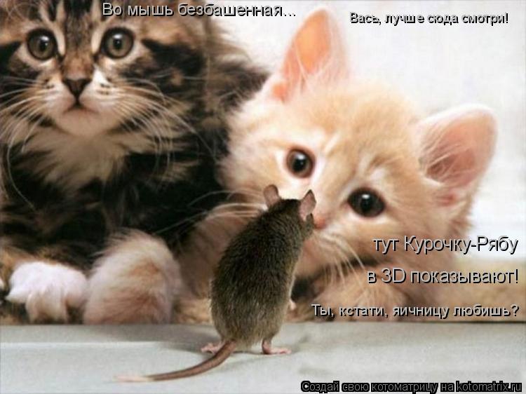 тут Курочку-Рябу в 3D показывают! Ты, кстати, яичницу любишь? Вась, лучше сюда смотри! Во мышь б... Котоматрица: тут Курочку-Рябу в 3D показывают! Ты, кстати, яичницу любишь? Вась, лучше сюда смотри! Во мышь безбашенная...