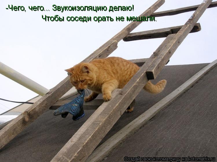 -Чего, чего... Звукоизоляцию делаю! Чтобы соседи орать не мешали.... Котоматрица: -Чего, чего... Звукоизоляцию делаю! Чтобы соседи орать не мешали.