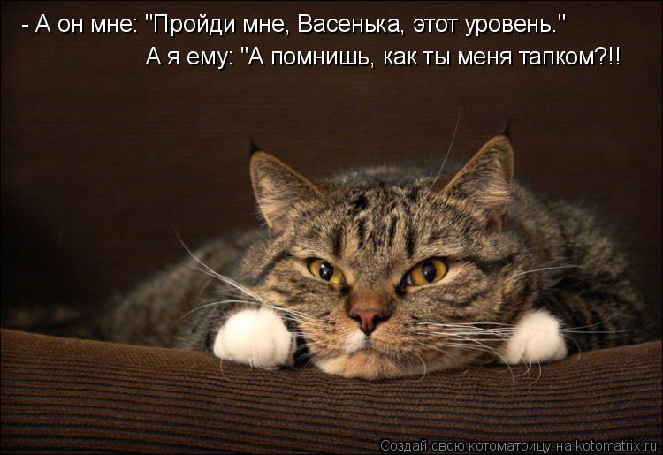 - А он мне: "Пройди мне, Васенька, этот уровень." А я ему: "А помнишь, как ты меня тапком?!!... Котоматрица: - А он мне: "Пройди мне, Васенька, этот уровень." А я ему: "А помнишь, как ты меня тапком?!!