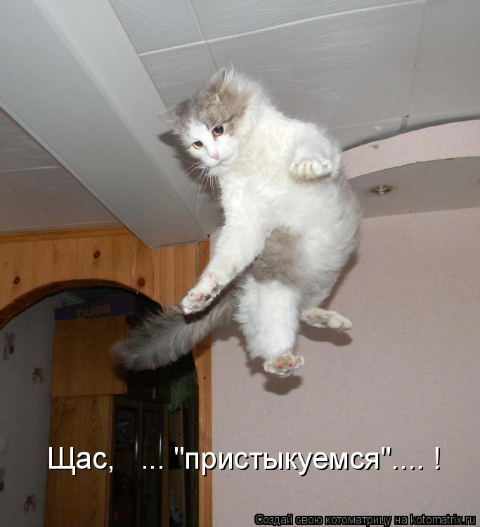 Щас, ... "пристыкуемся".... !... Котоматрица: Щас, ... "пристыкуемся".... !