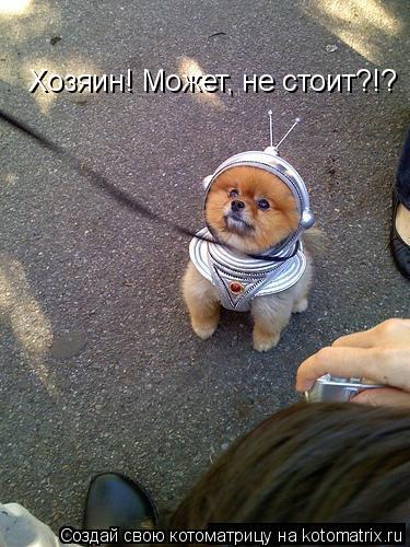 Хозяин! Может, не стоит?!?... Котоматрица: Хозяин! Может, не стоит?!?