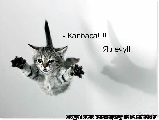 - Калбаса!!!! Я лечу!!!... Котоматрица: - Калбаса!!!! Я лечу!!!