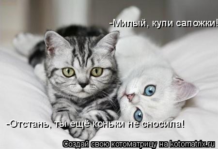 -Милый, купи сапожки! -Отстань, ты ещё коньки не сносила!... Котоматрица: -Милый, купи сапожки! -Отстань, ты ещё коньки не сносила!