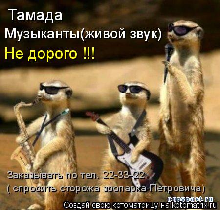 Тамада Музыканты(живой звук) Не дорого !!! ( спросить сторожа зоопарка Петровича) Заказывать по тел.... Котоматрица: Тамада Музыканты(живой звук) Не дорого !!! ( спросить сторожа зоопарка Петровича) Заказывать по тел. 22-33-22