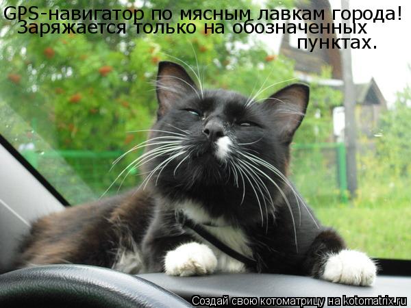 GPS-навигатор по мясным лавкам города! Заряжается только на обозначенных пунктах.... Котоматрица: GPS-навигатор по мясным лавкам города! Заряжается только на обозначенных пунктах.