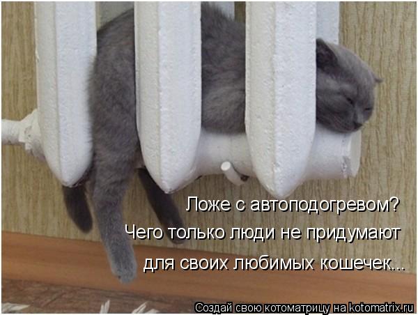 Ложе с автоподогревом? Чего только люди не придумают для своих любимых кошечек...... Котоматрица: Ложе с автоподогревом? Чего только люди не придумают для своих любимых кошечек...