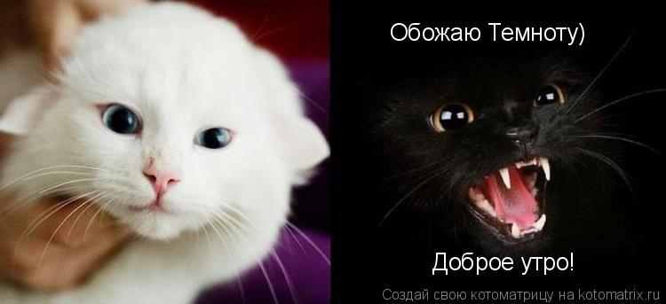 Доброе утро! Обожаю Темноту)... Котоматрица: Доброе утро! Обожаю Темноту)