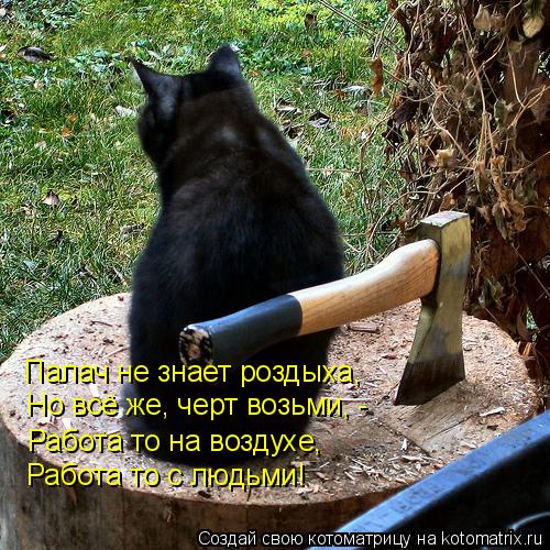 Палач не знает роздыха, Но всё же, черт возьми, - Работа то на воздухе, Работа то с людьми!... Котоматрица: Палач не знает роздыха, Но всё же, черт возьми, - Работа то на воздухе, Работа то с людьми!