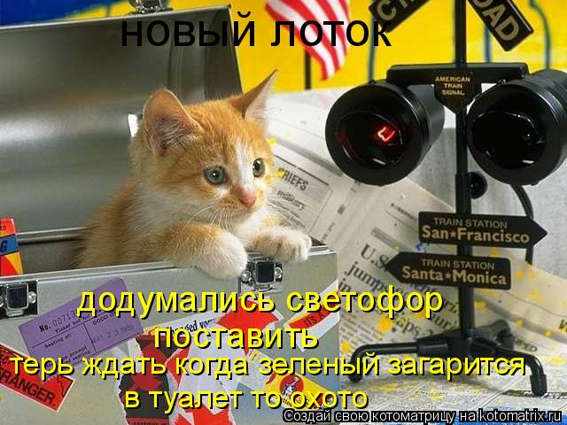новый лоток додумались светофор поставить терь ждать когда зеленый загарится в туалет то охото... Котоматрица: новый лоток додумались светофор поставить терь ждать когда зеленый загарится в туалет то охото
