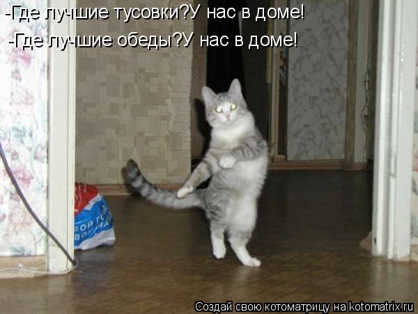 -Где лучшие тусовки?У нас в доме! -Где лучшие обеды?У нас в доме!... Котоматрица: -Где лучшие тусовки?У нас в доме! -Где лучшие обеды?У нас в доме!