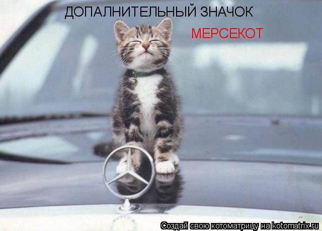 ДОПАЛНИТЕЛЬНЫЙ ЗНАЧОК МЕРСЕКОТ... Котоматрица: ДОПАЛНИТЕЛЬНЫЙ ЗНАЧОК МЕРСЕКОТ