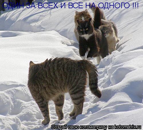 ОДИН ЗА ВСЕХ И ВСЕ HА ОДНОГО !!!... Котоматрица: ОДИН ЗА ВСЕХ И ВСЕ HА ОДНОГО !!!
