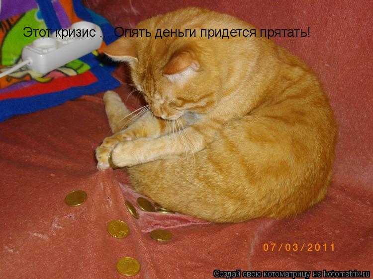 Этот кризис ... Опять деньги придется прятать!... Котоматрица: Этот кризис ... Опять деньги придется прятать!