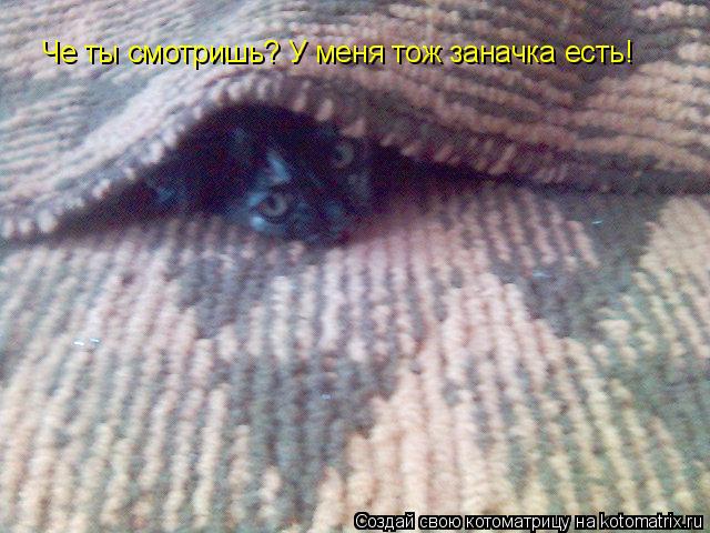Че ты смотришь? У меня тож заначка есть!... Котоматрица: Че ты смотришь? У меня тож заначка есть!