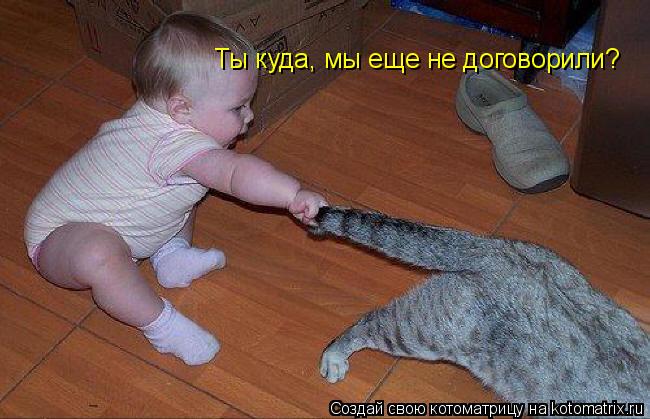 Ты куда, мы еще не договорили?... Котоматрица: Ты куда, мы еще не договорили?