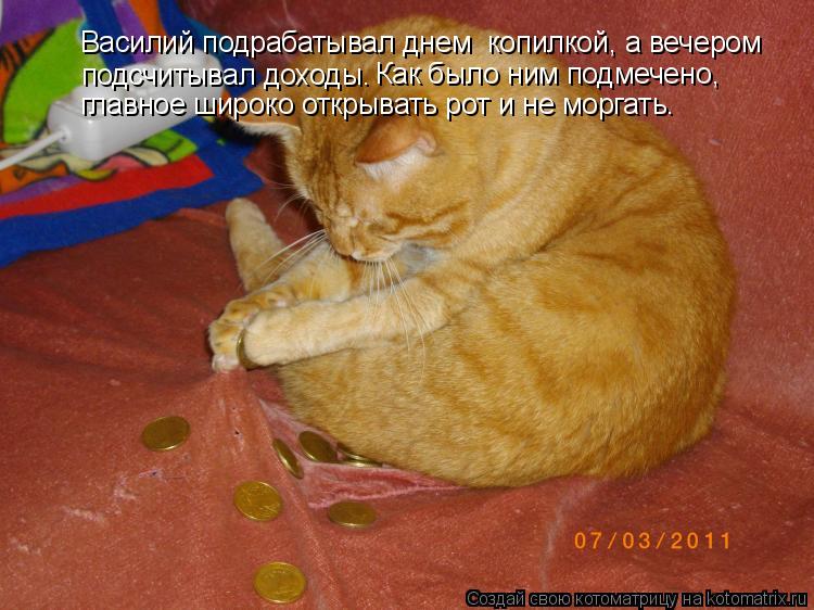 Василий подрабатывал днем копилкой, а вечером подсчитывал доходы. Как было ним подмечено, главное ш... Котоматрица: Василий подрабатывал днем копилкой, а вечером подсчитывал доходы. Как было ним подмечено, главное широко открывать рот и не моргать.
