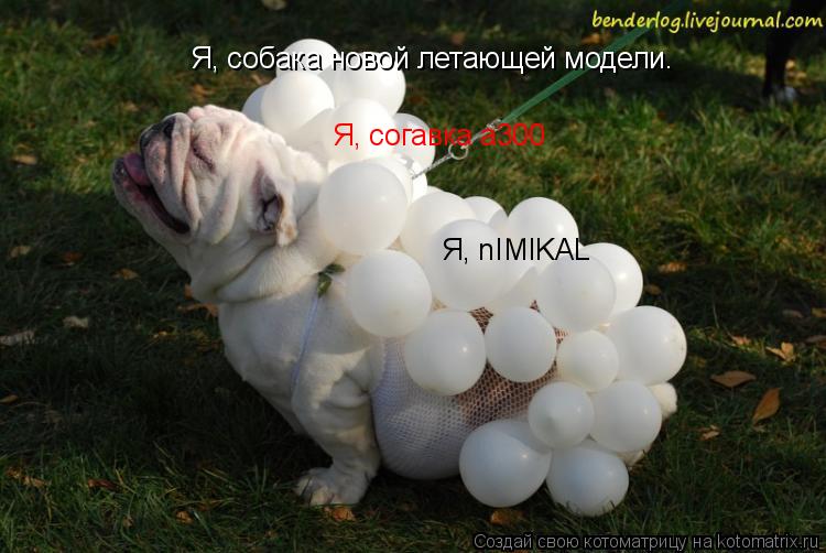 Я, собака новой летающей модели. Я, согавка a300 Я, nIMIKAL НУ ЛАДНО ПОГОВОРИМ О ПОКУПКЕ!... Котоматрица: Я, собака новой летающей модели. Я, согавка a300 Я, nIMIKAL НУ ЛАДНО ПОГОВОРИМ О ПОКУПКЕ!