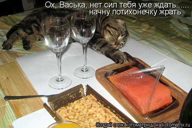 Ох, Васька, нет сил тебя уже ждать...... начну потихонечку жрать... Котоматрица: Ох, Васька, нет сил тебя уже ждать...... начну потихонечку жрать