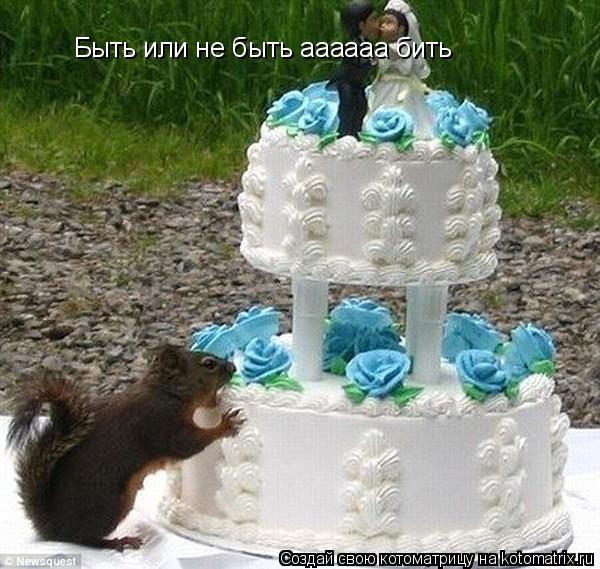 Быть или не быть аааааа бить... Котоматрица: Быть или не быть аааааа бить