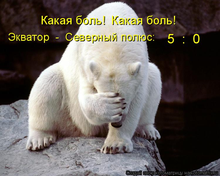 Какая боль! Какая боль! Экватор - Северный полюс: 5 : 0... Котоматрица: Какая боль! Какая боль! Экватор - Северный полюс: 5 : 0