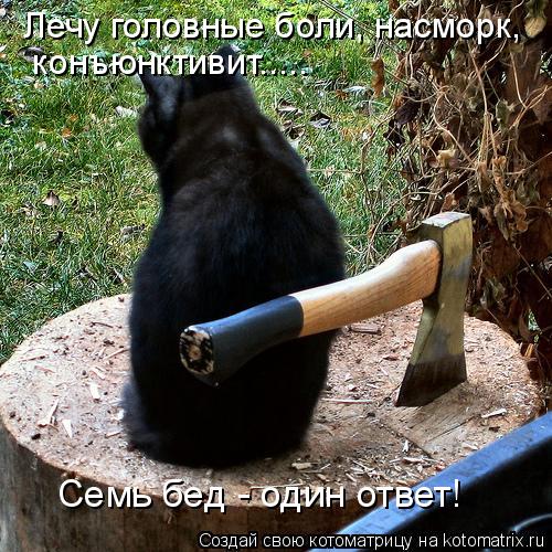 Лечу головные боли, насморк, конъюнктивит..... Семь бед - один ответ!... Котоматрица: Лечу головные боли, насморк, конъюнктивит..... Семь бед - один ответ!