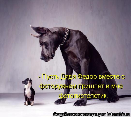 - Пусть Дядя Федор вместе с фоторужьем пришлет и мне фотопистолетик.... Котоматрица: - Пусть Дядя Федор вместе с фоторужьем пришлет и мне фотопистолетик.