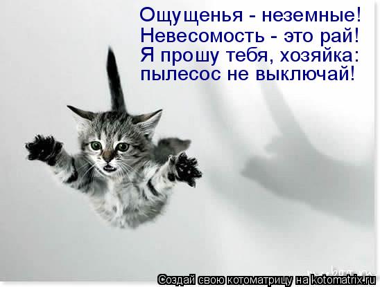 Котоматрица: Ощущенья - неземные! Невесомость - это рай! пылесос не выключай! Я прошу тебя, хозяйка: