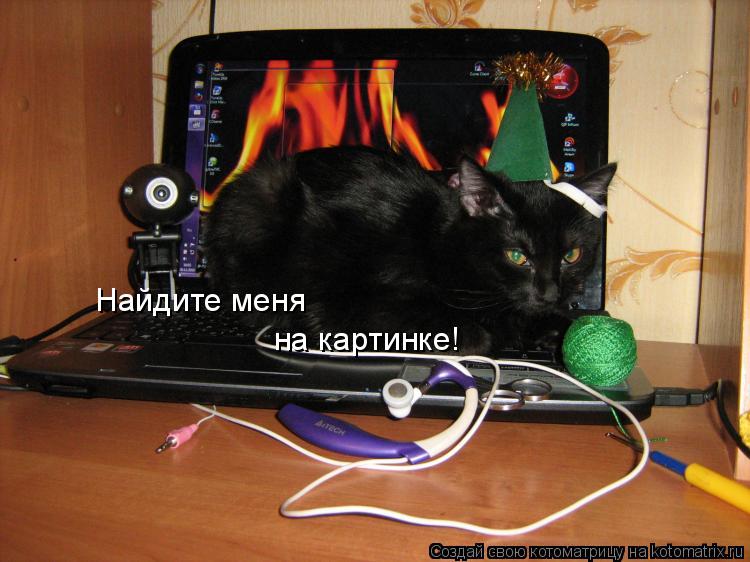 Найдите меня на картинке!... Котоматрица: Найдите меня на картинке!