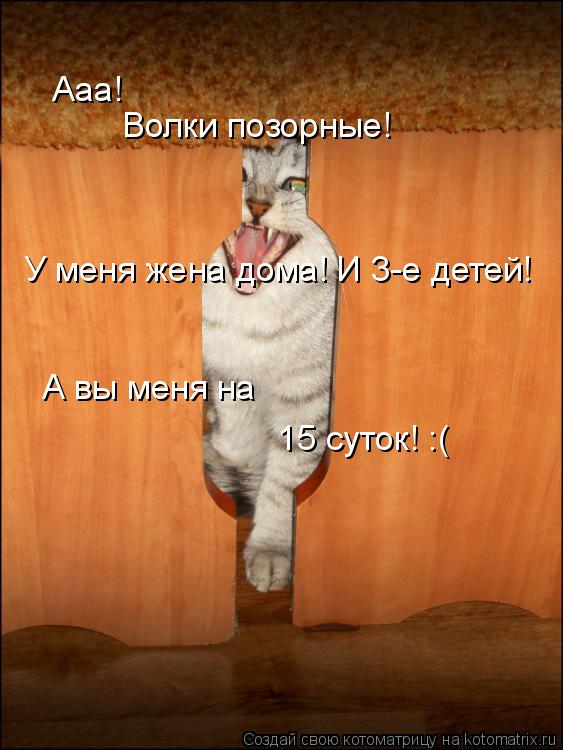 Ааа! Волки позорные! У меня жена дома! И 3-е детей! А вы меня на 15 суток! :(... Котоматрица: Ааа! Волки позорные! У меня жена дома! И 3-е детей! А вы меня на 15 суток! :(