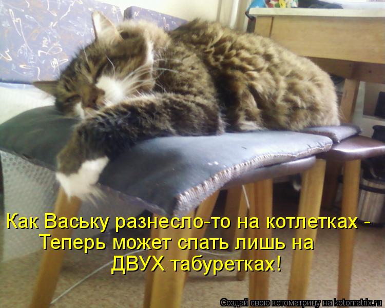 Как Ваську разнесло-то на котлетках - Теперь может спать лишь на ДВУХ табуретках!... Котоматрица: Как Ваську разнесло-то на котлетках - Теперь может спать лишь на ДВУХ табуретках!