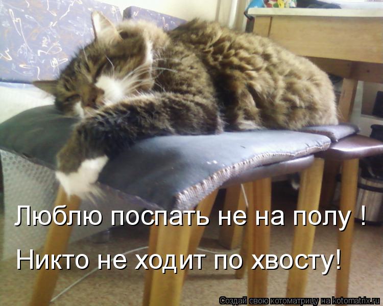 Люблю поспать не на полу ! Никто не ходит по хвосту!... Котоматрица: Люблю поспать не на полу ! Никто не ходит по хвосту!