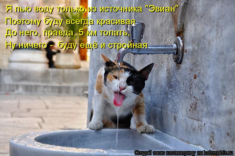 Я пью воду только из источника "Эвиан" Поэтому буду всегда красивая До него, правда, 5 км топать, Ну ... Котоматрица: Я пью воду только из источника "Эвиан" Поэтому буду всегда красивая До него, правда, 5 км топать, Ну ничего - буду ещё и стройная