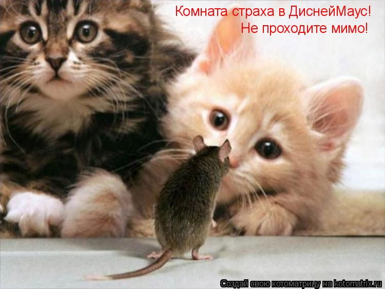 Комната страха в ДиснейМаус! Не проходите мимо!... Котоматрица: Комната страха в ДиснейМаус! Не проходите мимо!