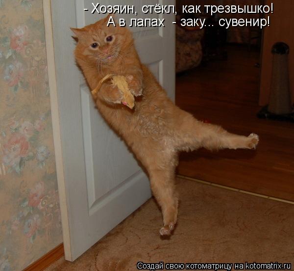 - Хозяин, стёкл, как трезвышко! А в лапах - заку... сувенир!... Котоматрица: - Хозяин, стёкл, как трезвышко! А в лапах - заку... сувенир!
