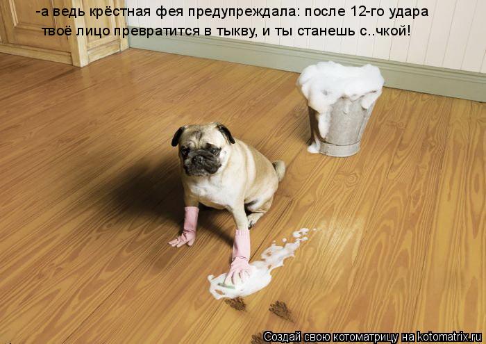 -а ведь крёстная фея предупреждала: после 12-го удара твоё лицо превратится в тыкву, и ты станешь с..... Котоматрица: -а ведь крёстная фея предупреждала: после 12-го удара твоё лицо превратится в тыкву, и ты станешь с..чкой!